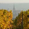 008-pict0255-sommerach_lzn
