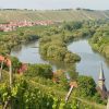 024-pict0253_lzn-1